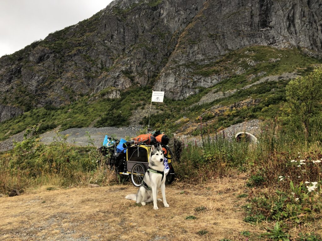 Nordkap und Lofoten Husky Rocky